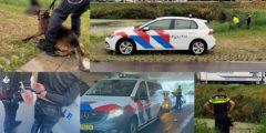 Politiehond springt in sloot en bijt vluchtende Duitser in het water langs de Dierensteinweg