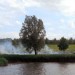 Natuurbrandje langs het Swifterbantpad bij de Gaatkensplas, Barendrecht