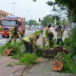 Brandweer zaagt delen van de kastanjeboom in stukjes nadat een vrachtwagen tegen de boom aan reed (1e Barendrechtseweg, Barendrecht)