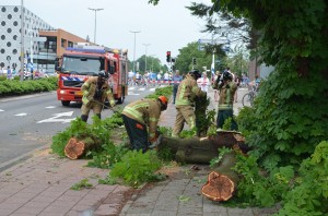 Brandweer zaagt delen van de kastanjeboom in stukjes nadat een vrachtwagen tegen de boom aan reed (1e Barendrechtseweg, Barendrecht)