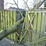 Stevige boom valt dwars door schutting aan de Ratelaar in Barendrecht