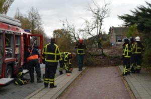 Brandweer verwijderd boom van fietspad op de Binnenlandsebaan in Barendrecht