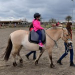 18 april: Paarden familiedag bij De Kleine Duiker in Barendrecht