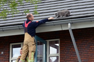 Holly van dak aan de Paardenburg gered door de brandweer (Barendrecht)