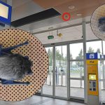 Vleermuizen boven je hoofd bij ingang station Barendrecht