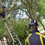 Brandweer verwijdert gevaarlijk loshangede tak aan de Donge in Barendrecht