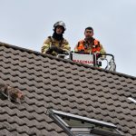 Brandweer nodig om kat van dak aan de Torenmolen te krijgen