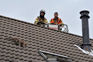 Brandweer nodig om kat van dak aan de Torenmolen te krijgen