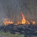 Natuurbrandje aan de Achterzeedijk in Barendrecht