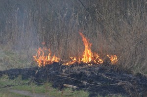 Natuurbrandje aan de Achterzeedijk in Barendrecht