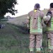 Video: 'Vliegend' schaap redt zichzelf uit sloot aan de Harmonielaan in Barendrecht