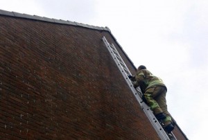 Brandweer helpt vogeltje tussen dakpannen vandaan aan de Paddeweg in Barendrecht