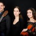 Muzikaal trio met gevarieerd programma in Barendrechtse Dorpskerk